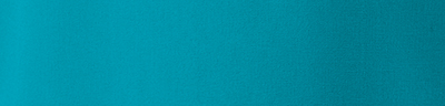 Bistroschürze | Mischgewebe 220 g/m² | 75 °C | professional